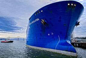 Antimicrobial, antiadhesive and antifouling surfaces: The dual function of the zeta potential