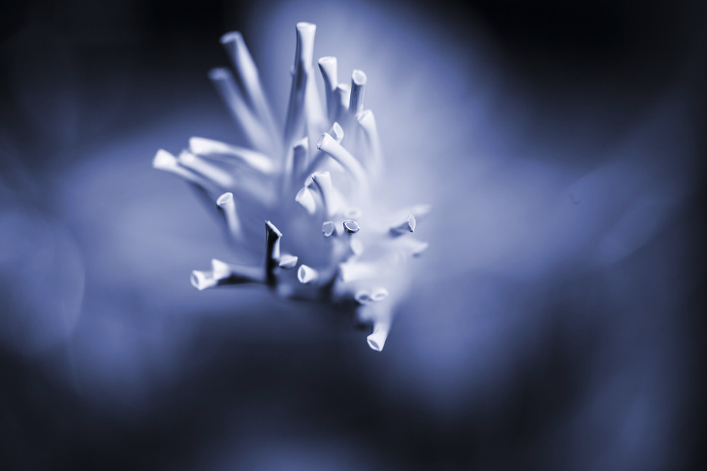 From microfiltration to reverse osmosis: Relevance of membrane surface charge