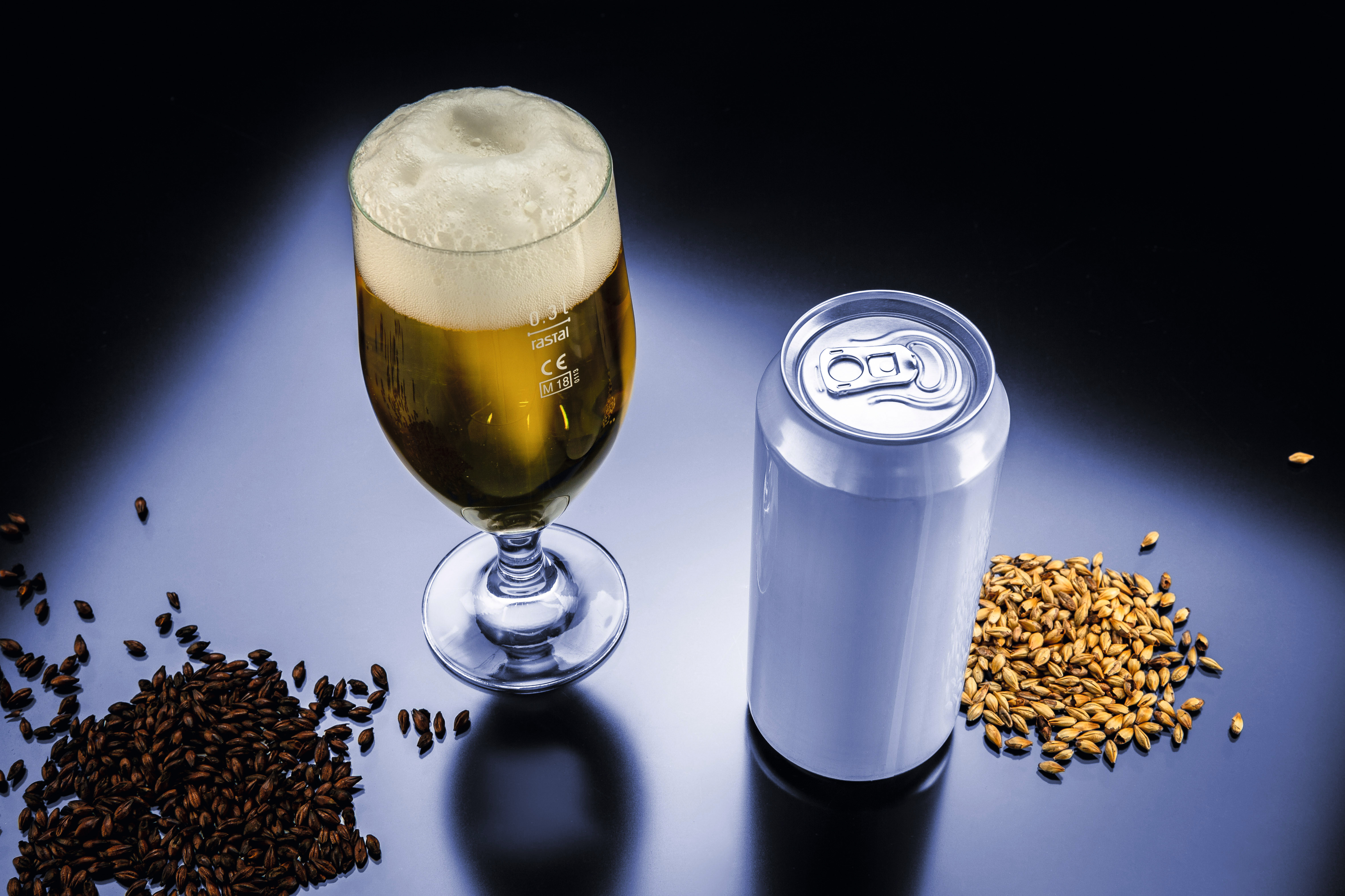 Otimização e controle do processo de fermentação da cerveja