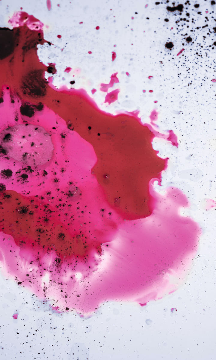 Kooperationsseminar | Farb- und Pigmentdispersionen