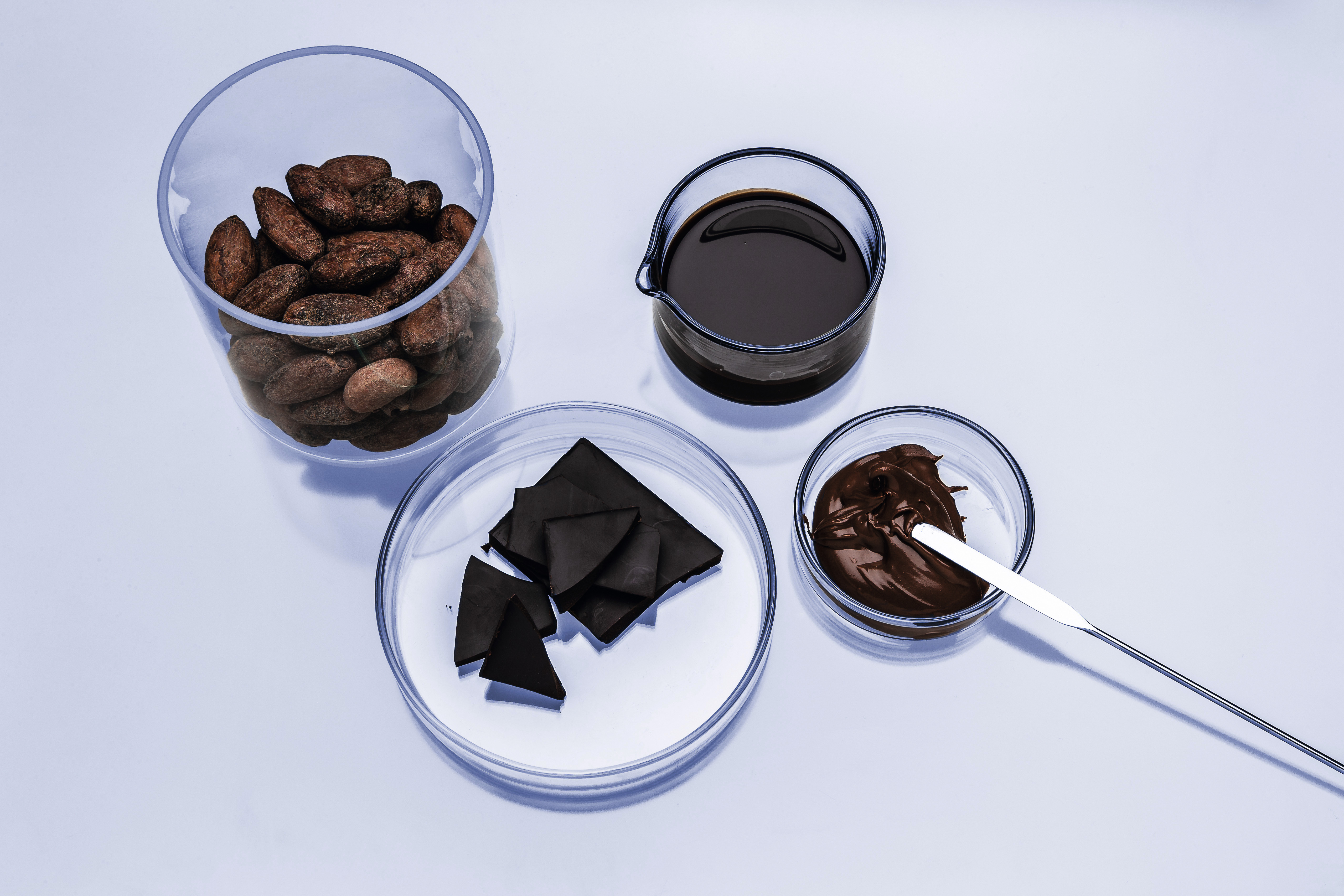 Innovación tecnológica para la caracterización del chocolate