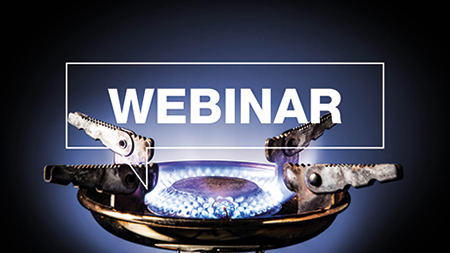 Identification of Complex Fuel Mixtures
