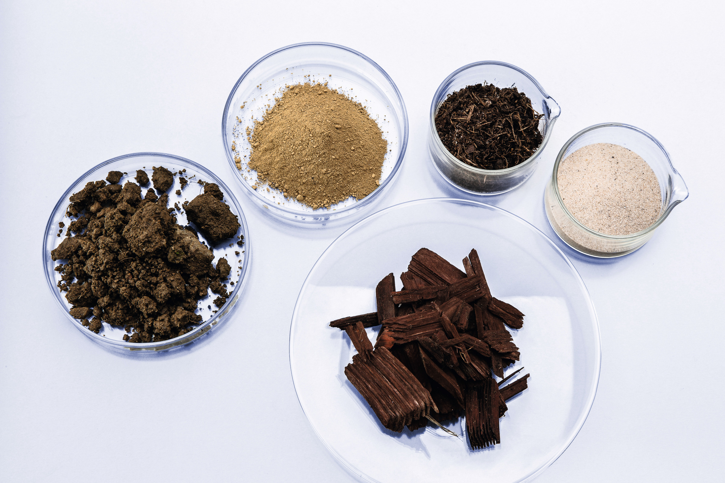 Laboratory dishes with different soil samples: clumps, fine powder, sand, organic matter, and wood chips on white background