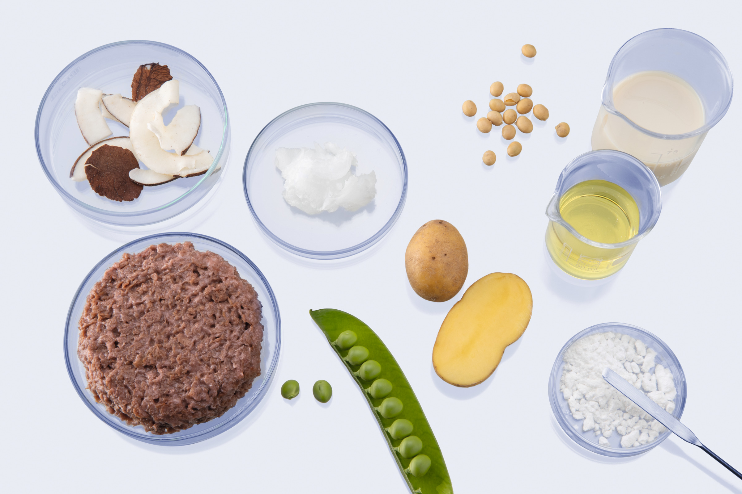 Assorted food samples on white surface: minced meat, coconut pieces, fat, peas, potato, soybeans, oil, milk, and white powder in dishes
