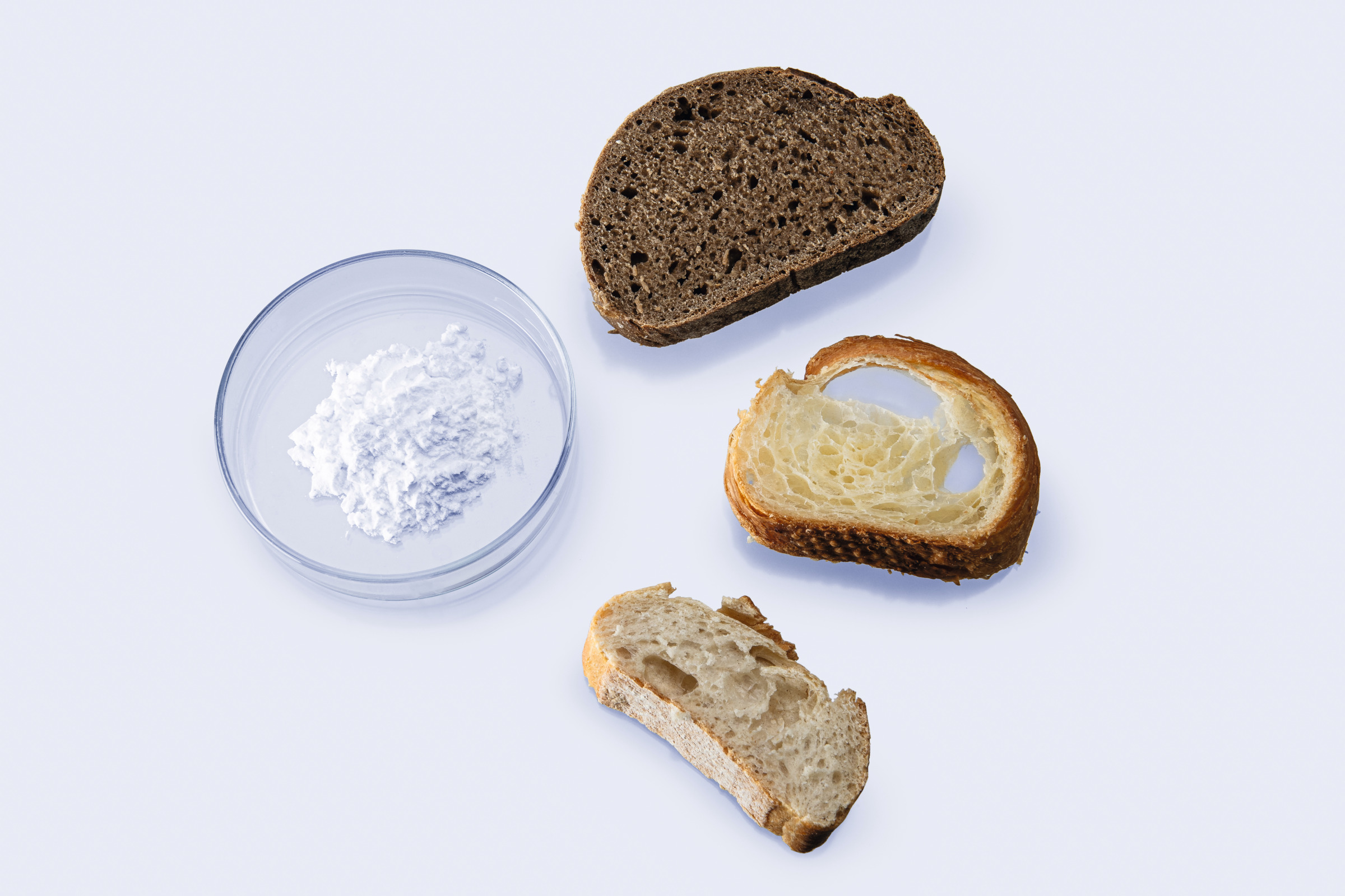 Bread slices and white powder in a petri dish arranged on a white surface for bakery sample testing.