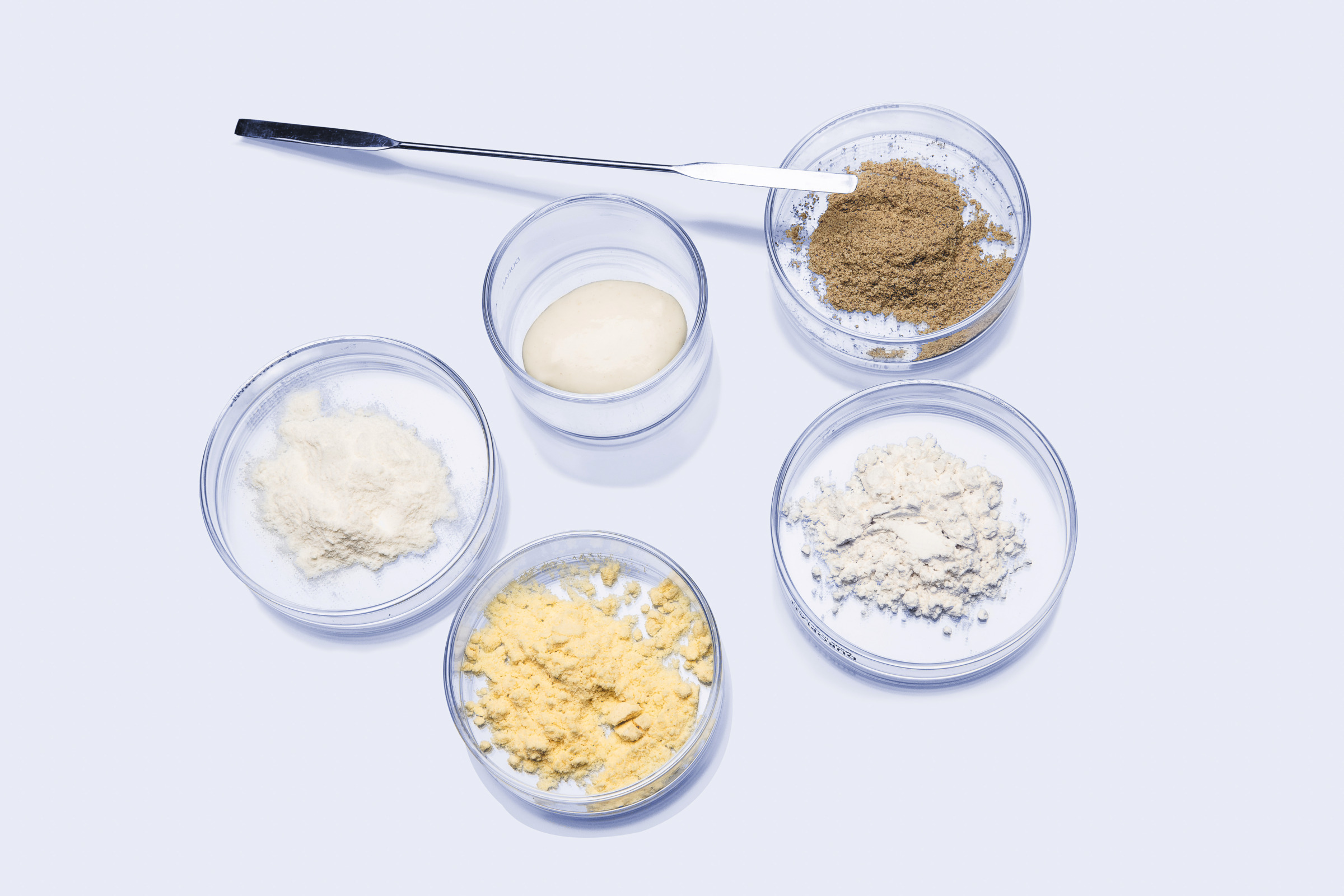 Petri dishes with dough and powder samples arranged with a laboratory spatula on a white surface.