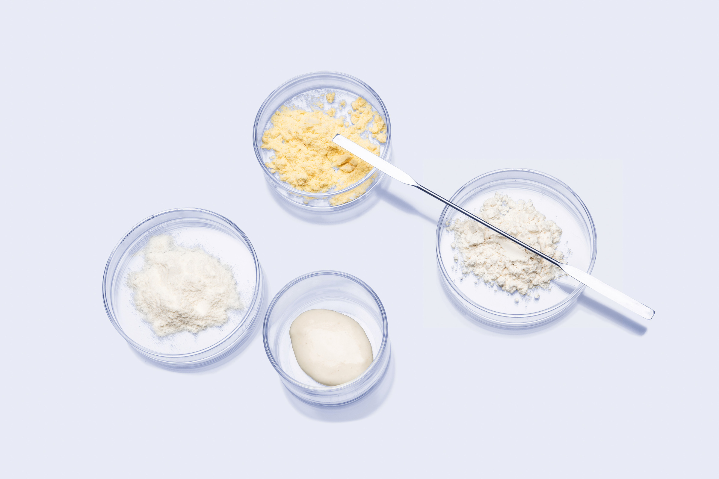 Petri dishes with dough and powder samples arranged with a laboratory spatula on a white surface.