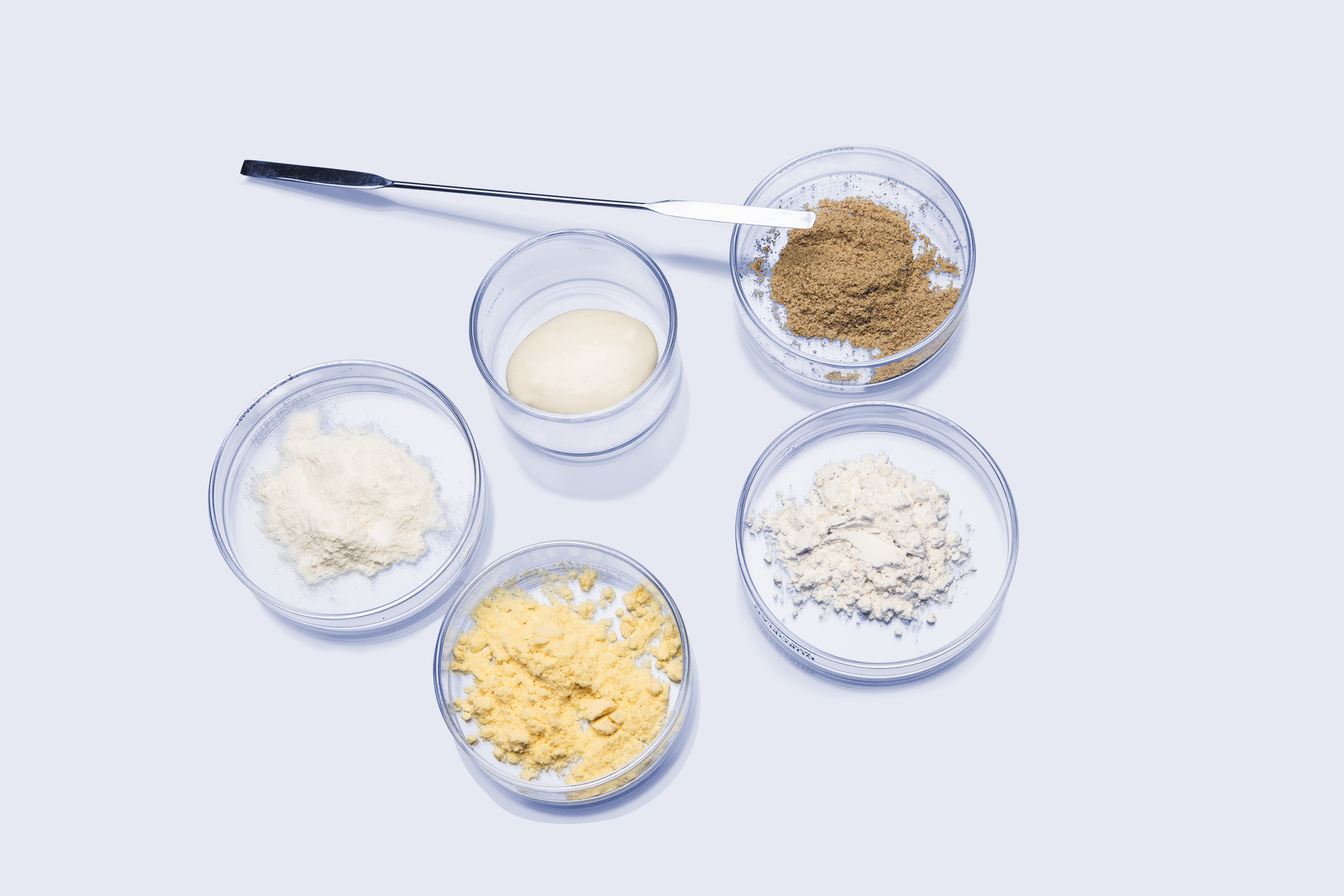 Petri dishes with dough and powder samples arranged with a laboratory spatula on a white surface.