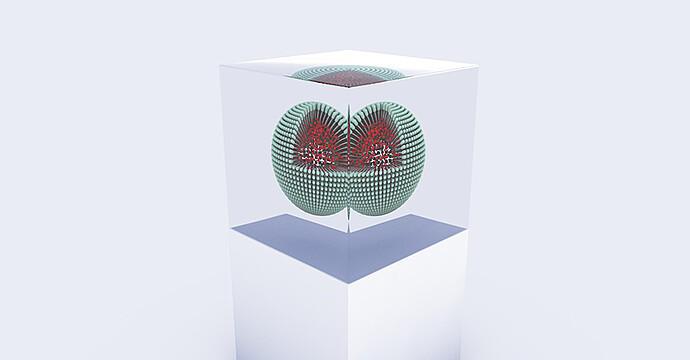 Nanoparticles