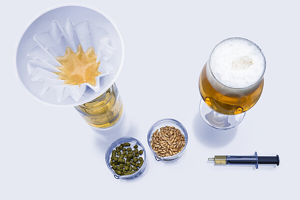 Top-down view of beer brewing ingredients including hops, barley malt, filtered liquid, and a glass of beer with foam, arranged on a light background