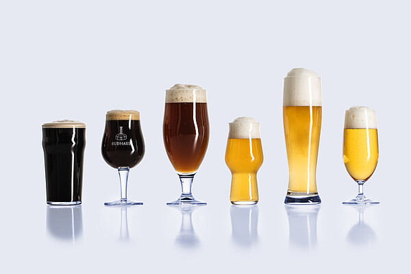 Six beer glasses with foam heads containing beer samples in different styles and colors, arranged side by side on a light background