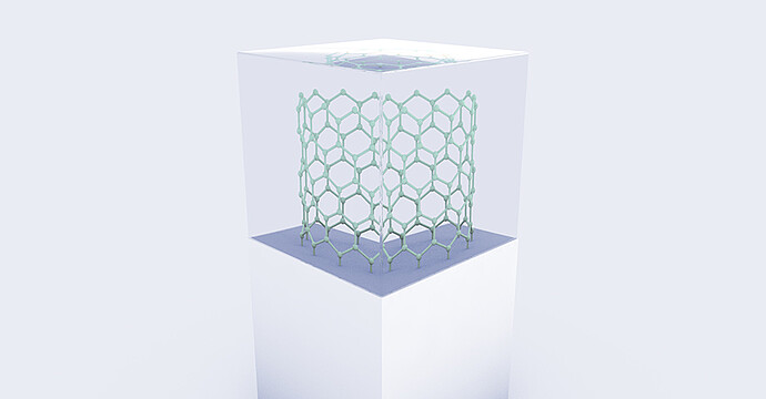 Carbon nanotubes and biological nanomaterials