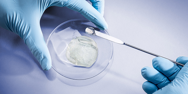 Researching the elastic and mechanical properties of hydrogels