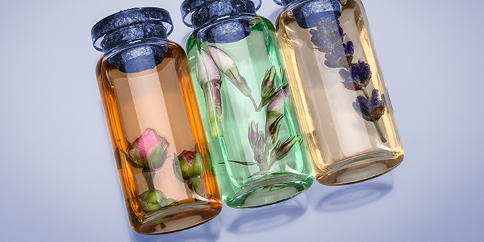 Support of the production of flavors and fragrances