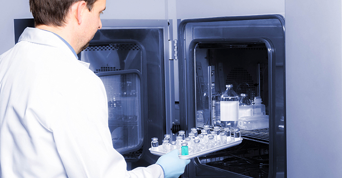 Vaccine stability